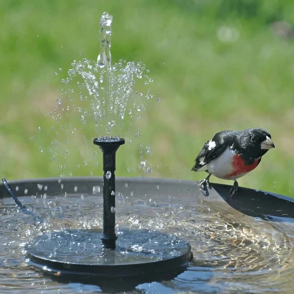 Hot Sale🔥⛲ Solar Fountain, Solar Powered Bird Bath Fountain Pump( Buy 2 Free Shipping)